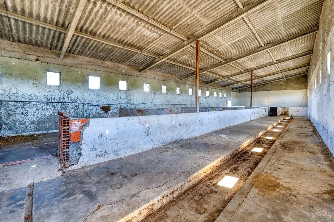 Armazém para Venda em Alpiarça Foto 21