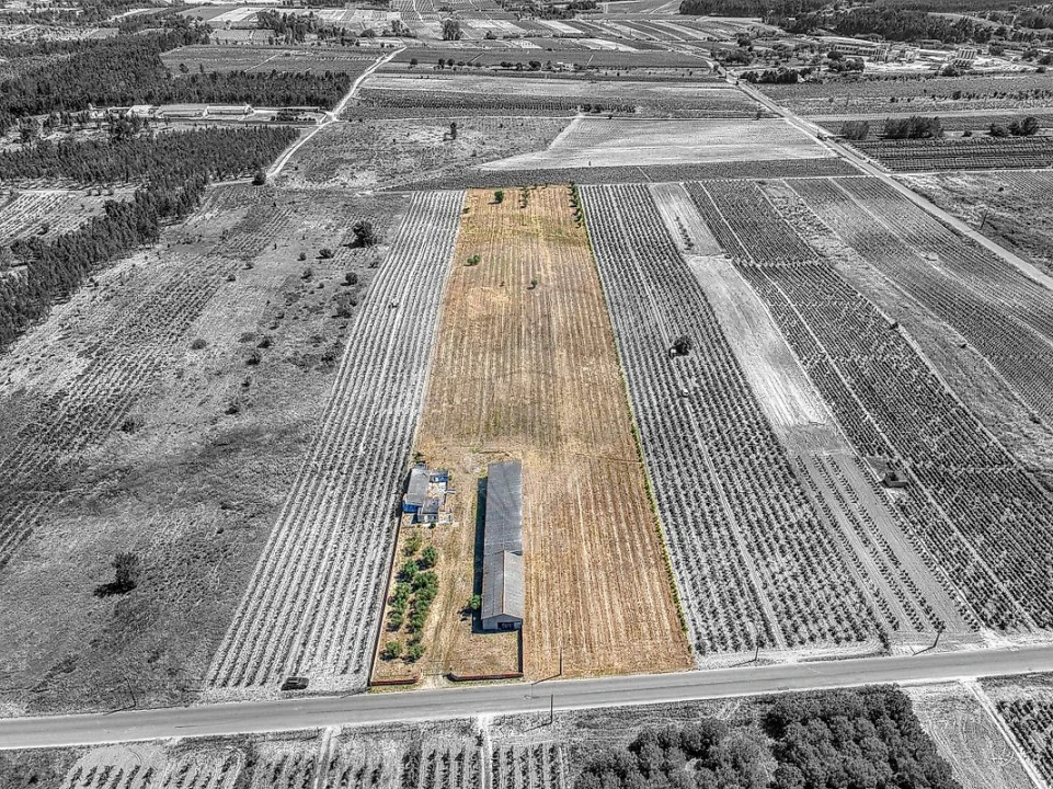 Armazém para Venda em Alpiarça Foto 2