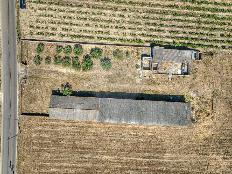 Armazém para Venda em Alpiarça Foto 11