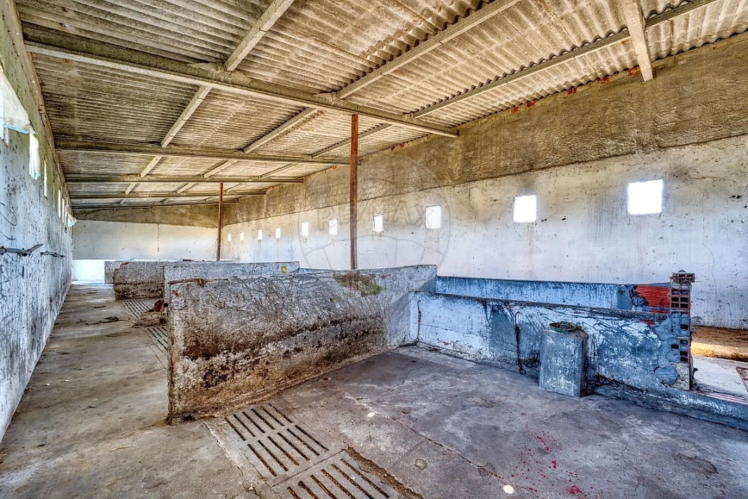 Armazém para Venda em Alpiarça Foto 22