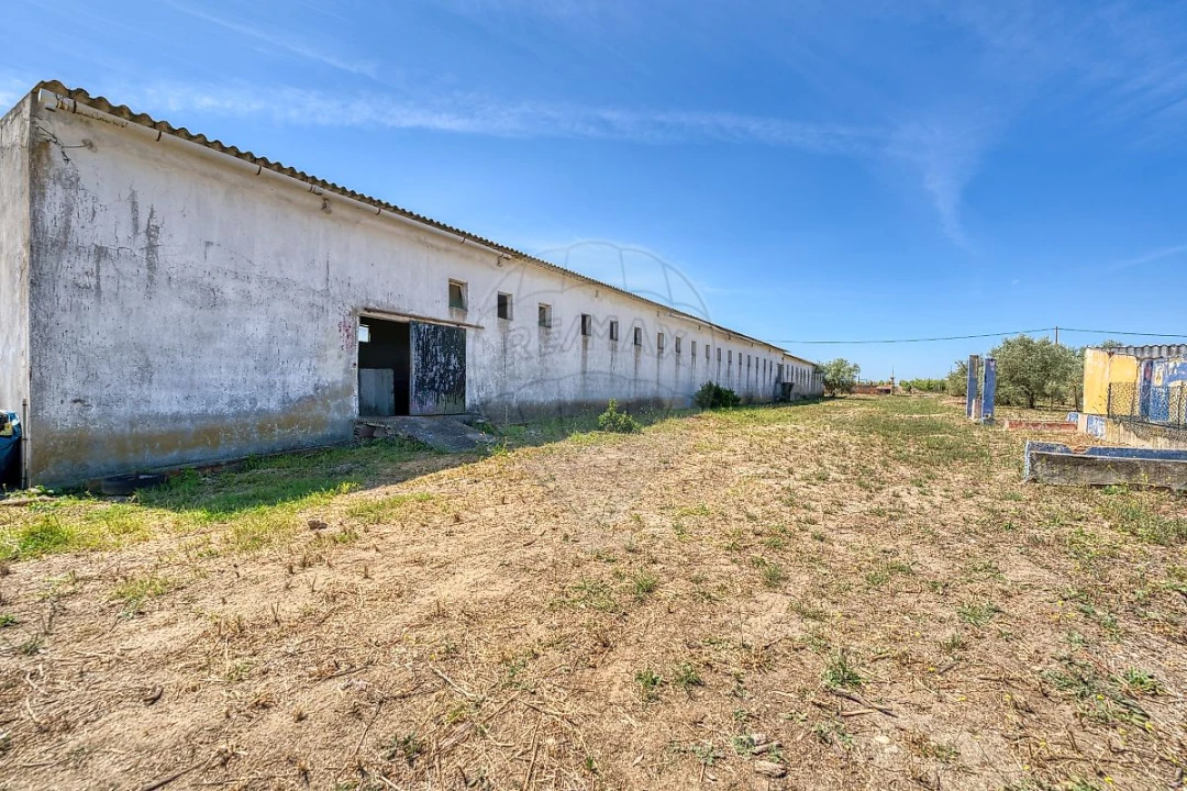 Armazém para Venda em Alpiarça Foto 26