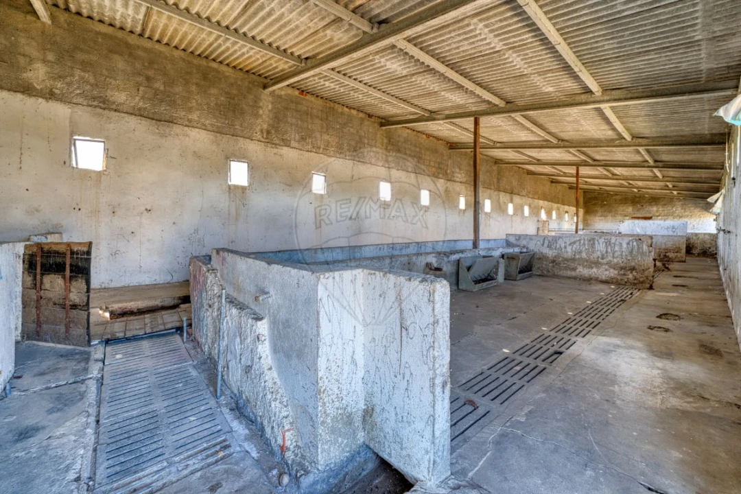 Armazém para Venda em Alpiarça Foto 23