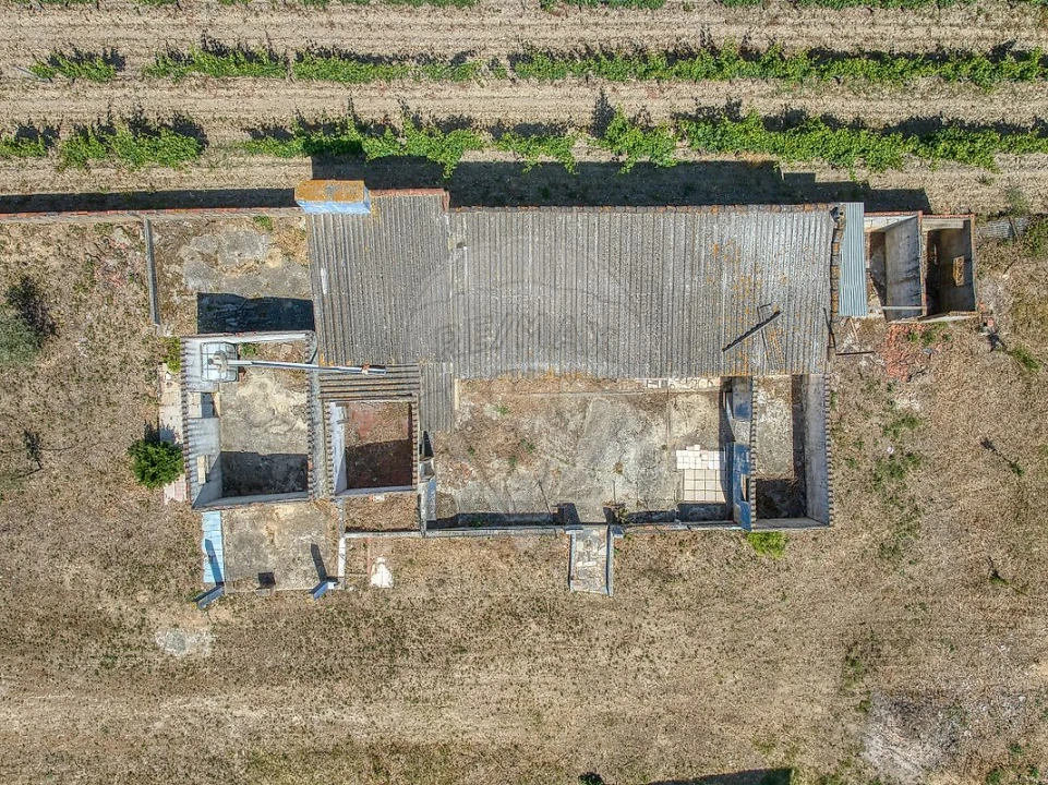 Armazém para Venda em Alpiarça Foto 14