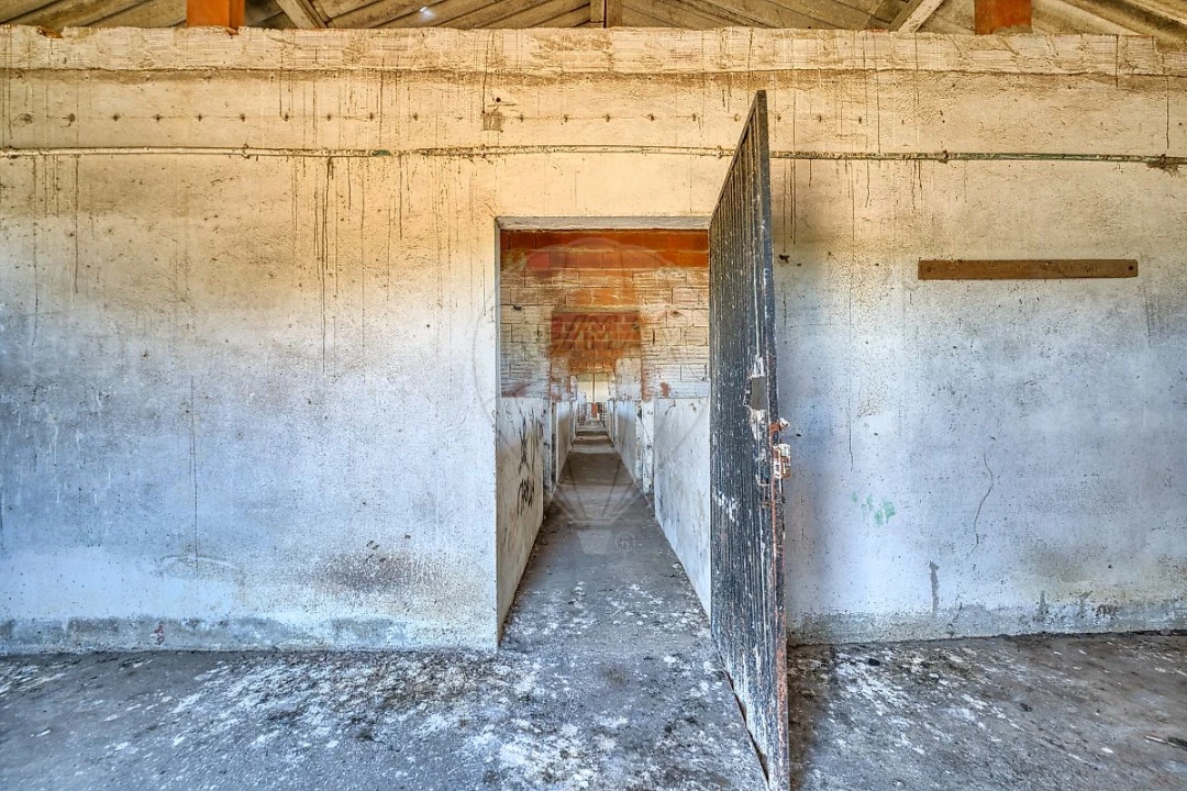 Armazém para Venda em Alpiarça Foto 15