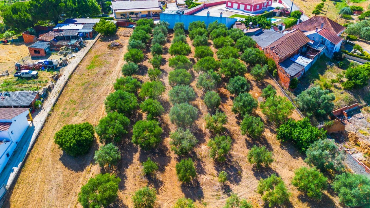 Quinta T8 para Venda em Azoia de Cima e Tremês Foto 42