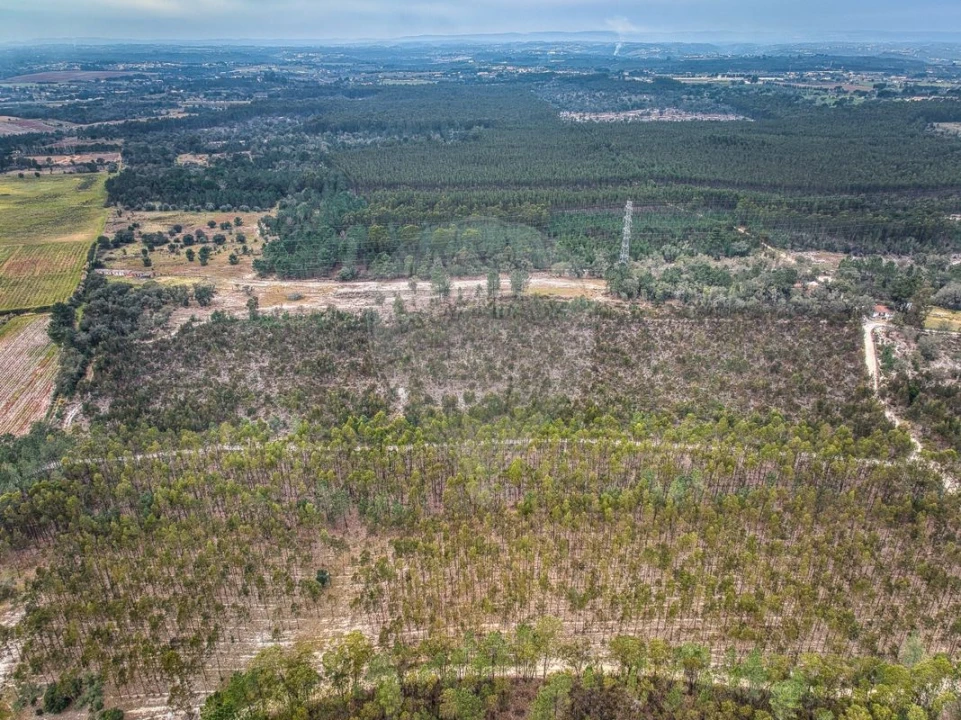 Terreno para Venda em Povoa da Isenta Foto 17