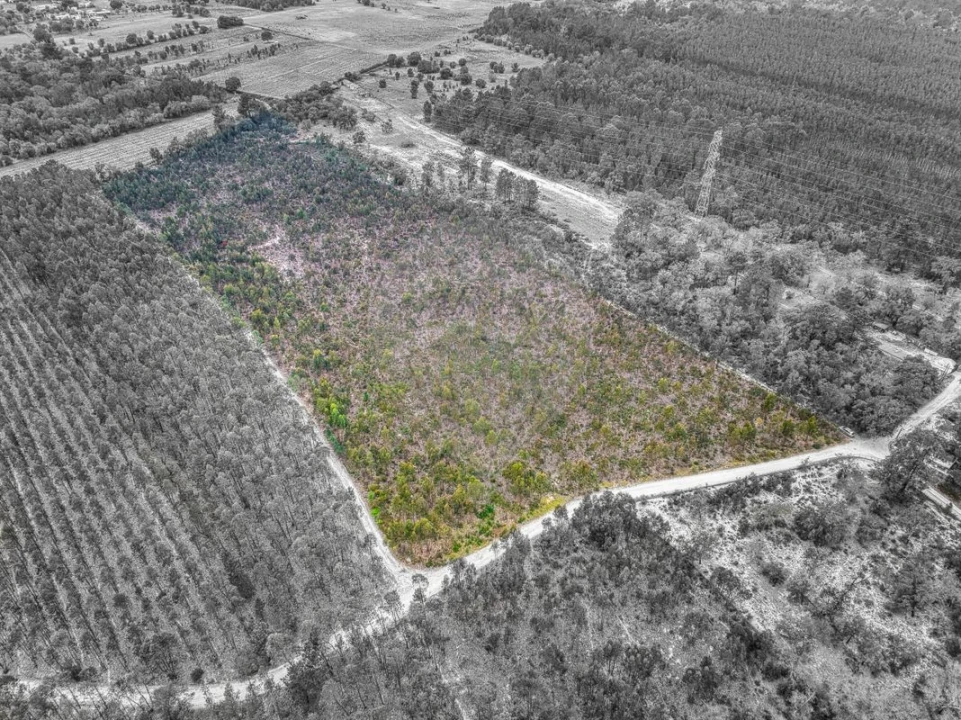Terreno para Venda em Povoa da Isenta Foto 2