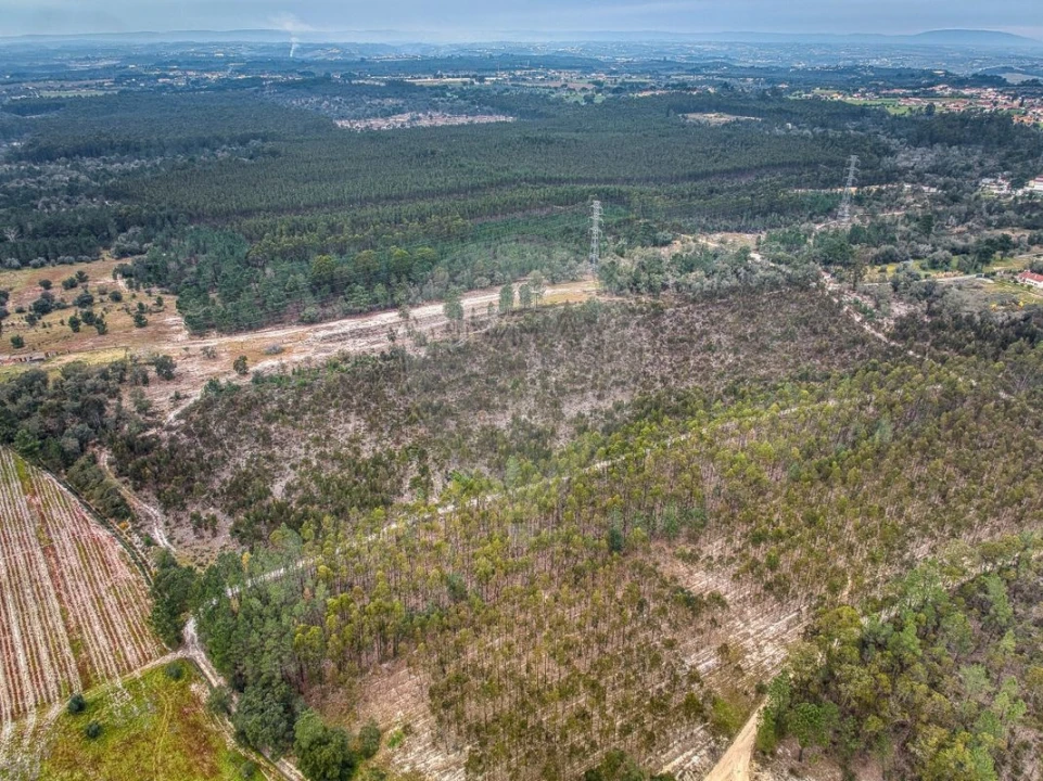 Terreno para Venda em Povoa da Isenta Foto 16