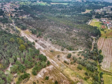 Terreno para Venda em Povoa da Isenta