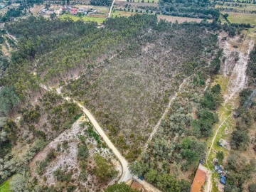 Terreno para Venda em Povoa da Isenta