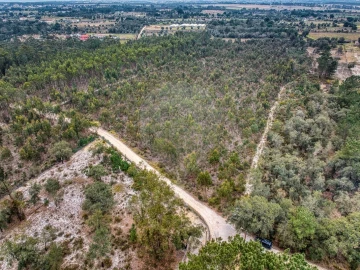 Terreno para Venda em Povoa da Isenta