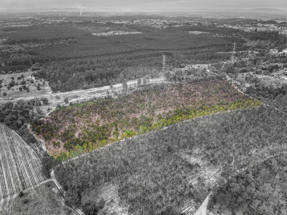 Terreno para Venda em Povoa da Isenta Foto 8