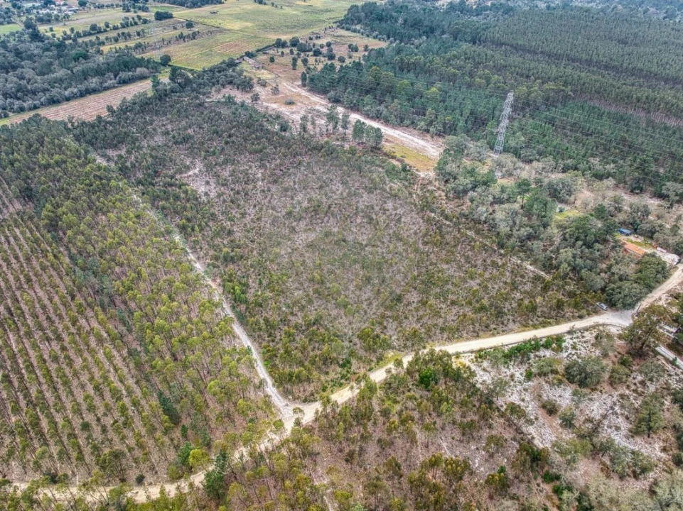 Terreno para Venda em Povoa da Isenta Foto 4