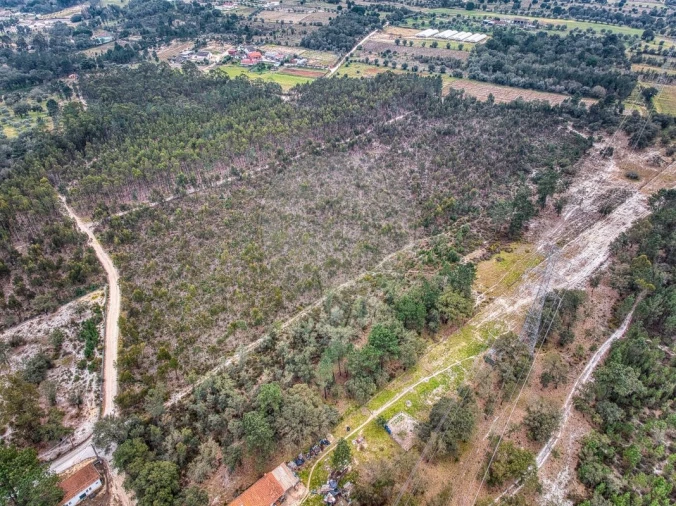 Terreno para Venda em Povoa da Isenta Foto 14