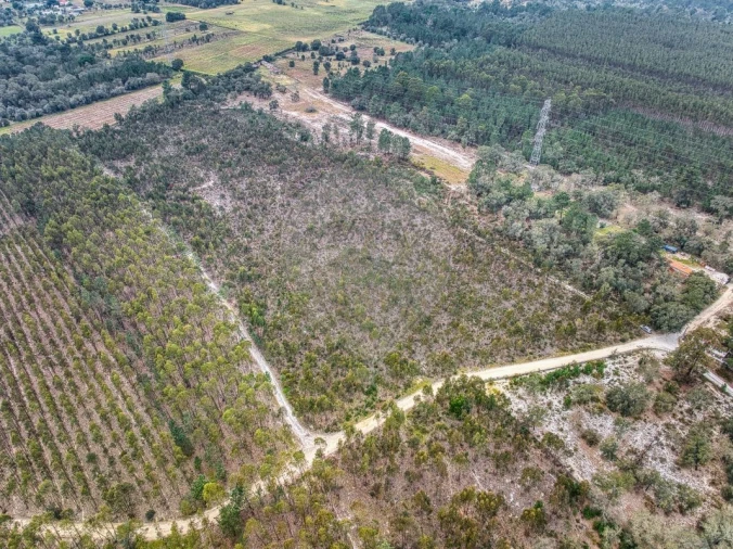 Terreno para Venda em Povoa da Isenta Foto 4