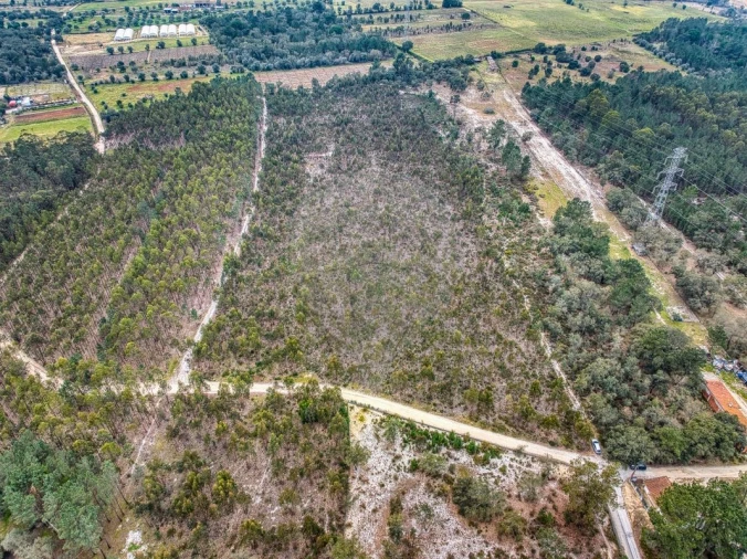 Terreno para Venda em Povoa da Isenta Foto 6