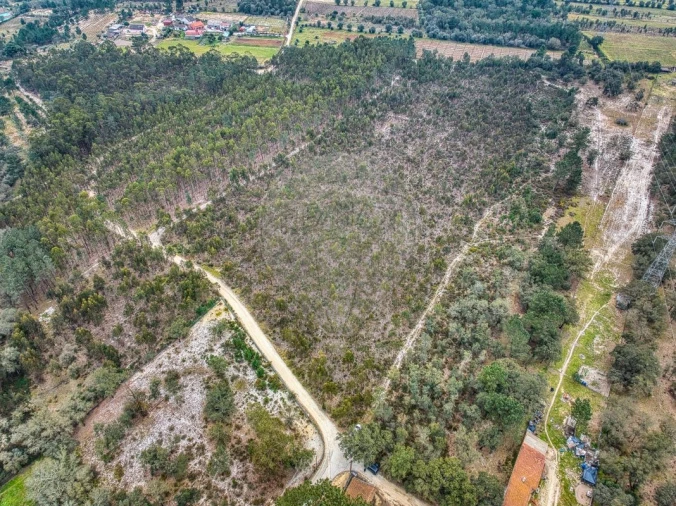 Terreno para Venda em Povoa da Isenta Foto 10