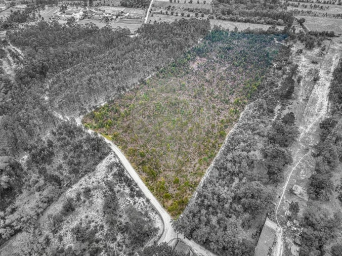 Terreno para Venda em Povoa da Isenta Foto 18