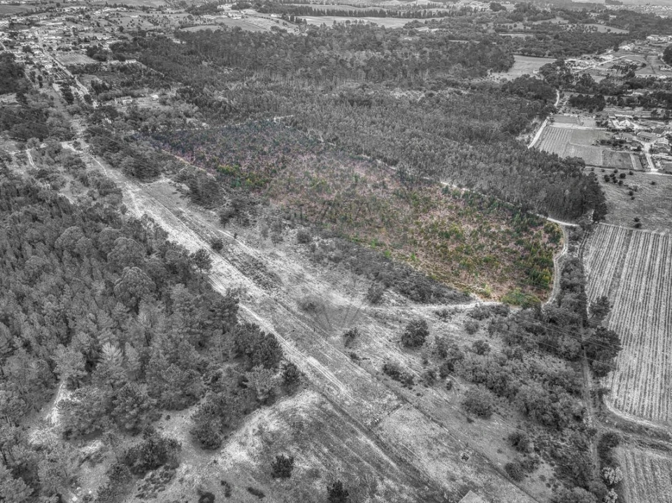 Terreno para Venda em Povoa da Isenta Foto 3