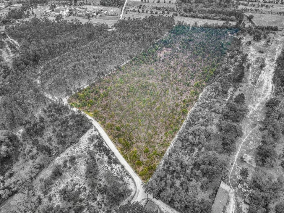 Terreno para Venda em Povoa da Isenta Foto 18