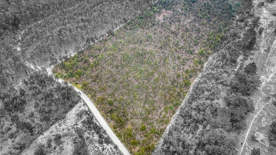 Terreno para Venda em Povoa da Isenta