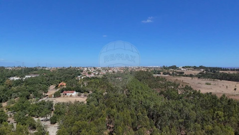 Terreno para Venda em Povoa da Isenta