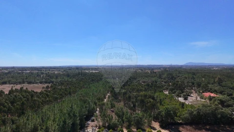 Terreno para Venda em Povoa da Isenta