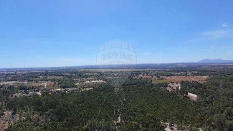 Terreno para Venda em Povoa da Isenta