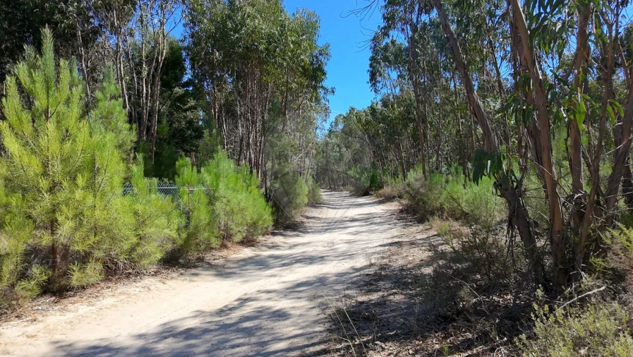 Terreno para Venda em Povoa da Isenta Foto 10