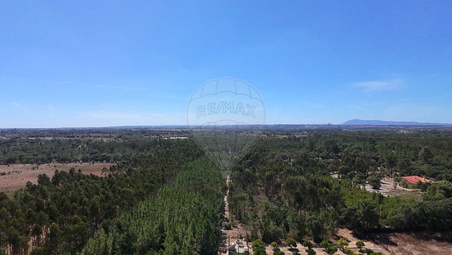 Terreno para Venda em Povoa da Isenta Foto 17