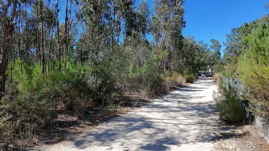Terreno para Venda em Povoa da Isenta Foto 11