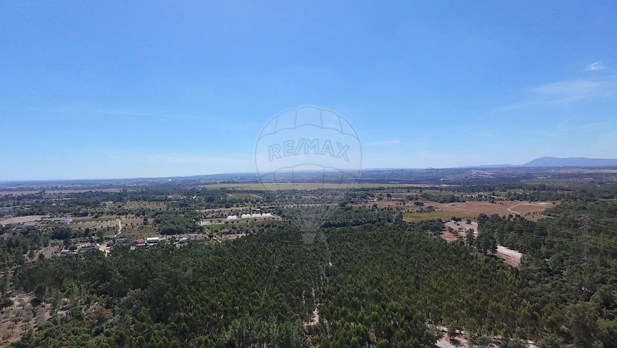 Terreno para Venda em Povoa da Isenta Foto 16