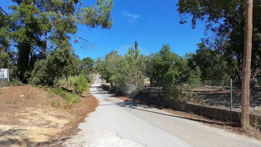 Terreno para Venda em Povoa da Isenta Foto 3