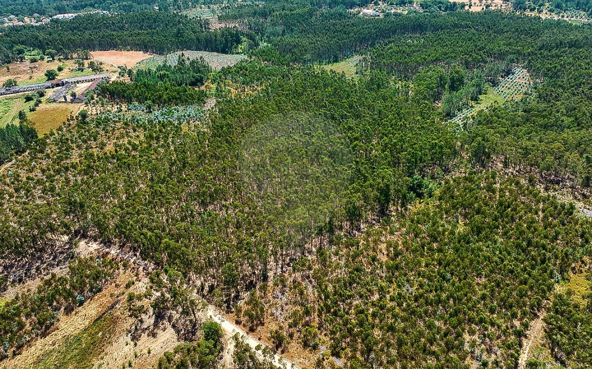 Terreno para Venda em Arrouquelas Foto 3