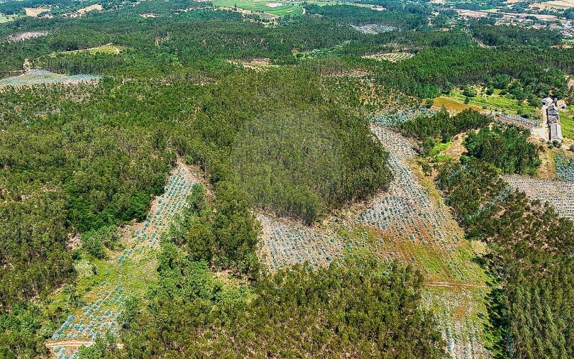 Terreno para Venda em Arrouquelas Foto 9