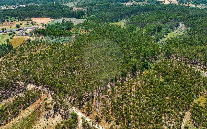 Terreno para Venda em Arrouquelas Foto 3