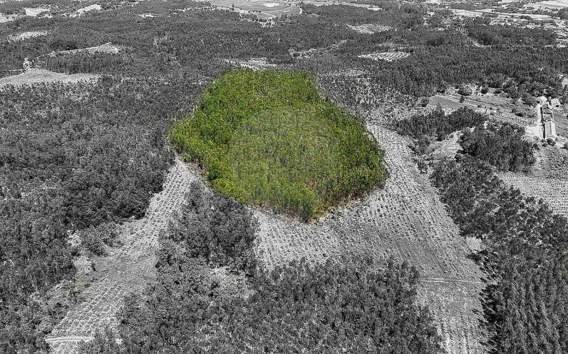 Terreno para Venda em Arrouquelas Foto 8