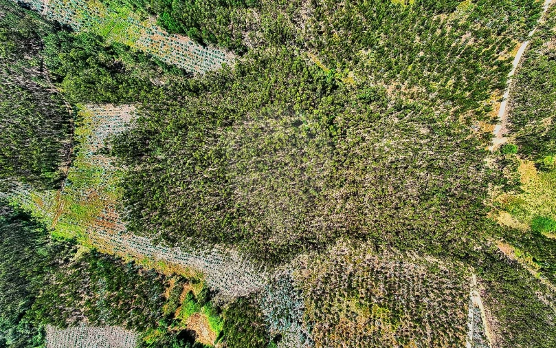 Terreno para Venda em Arrouquelas Foto 2