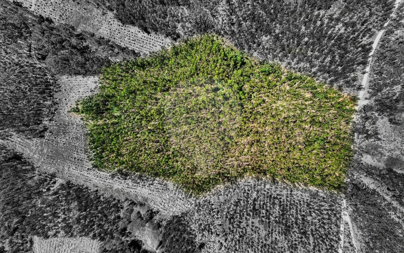 Terreno para Venda em Arrouquelas Foto 5