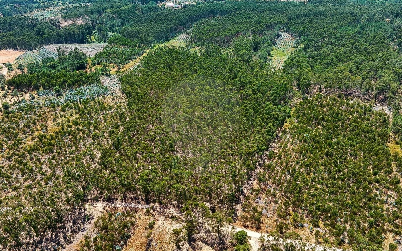 Terreno para Venda em Arrouquelas Foto 4