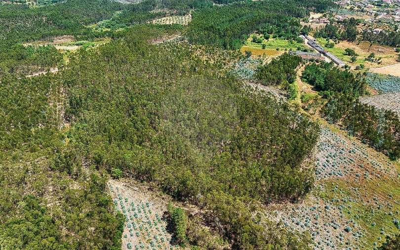 Terreno para Venda em Arrouquelas Foto 7