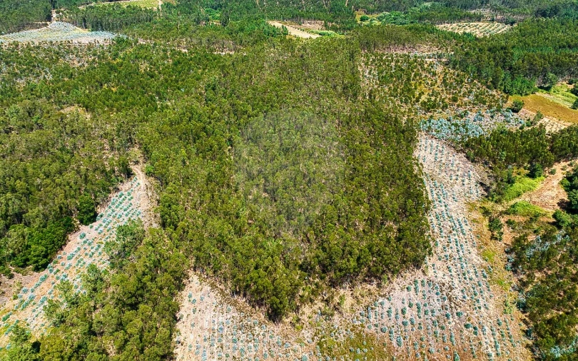 Terreno para Venda em Arrouquelas Foto 6