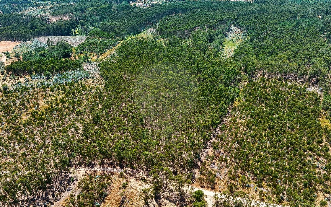 Terreno para Venda em Arrouquelas Foto 4