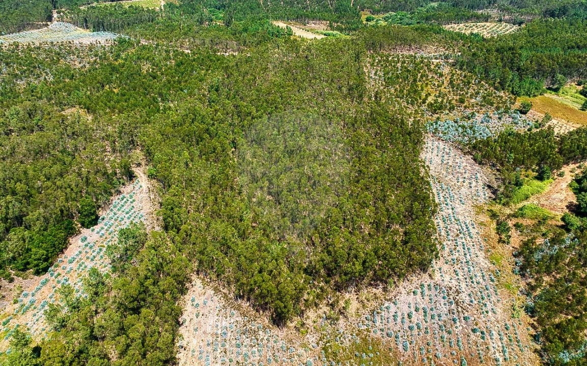 Terreno para Venda em Arrouquelas Foto 6