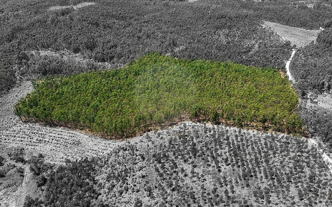 Terreno para Venda em Arrouquelas Foto 1