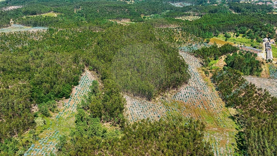 Terreno para Venda em Arrouquelas