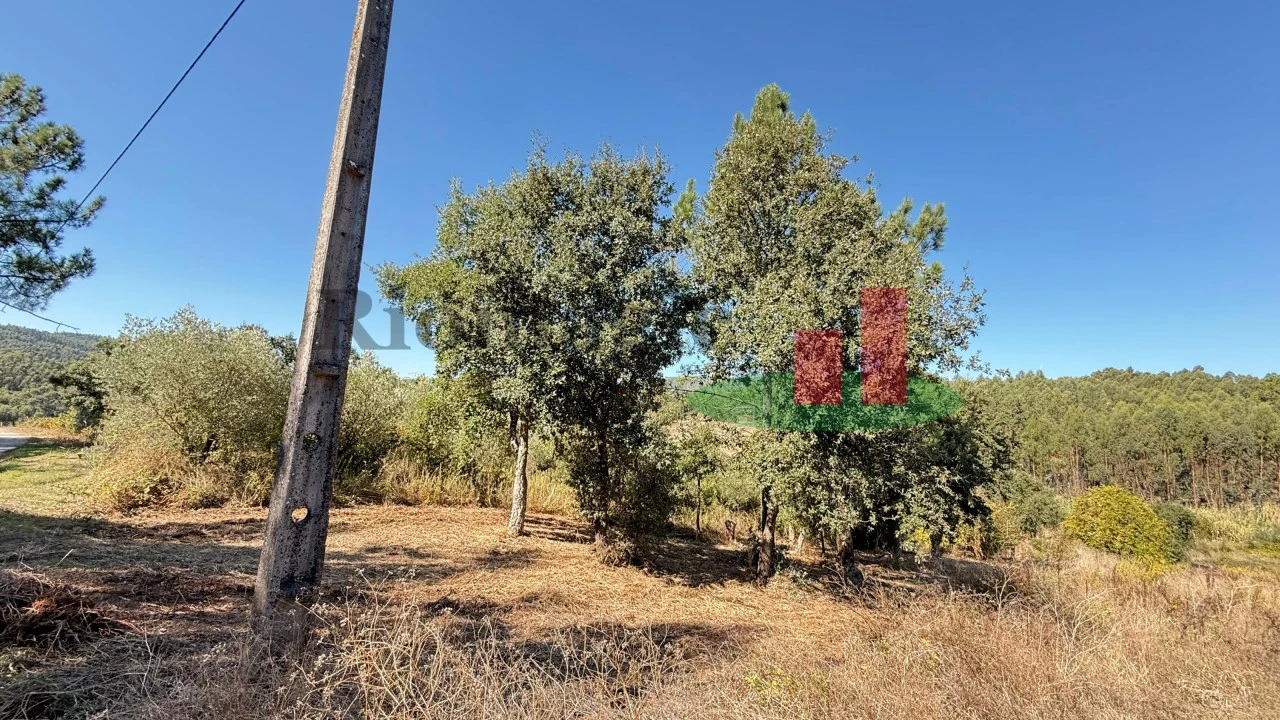 Terreno para Venda em Alcobertas Foto 1