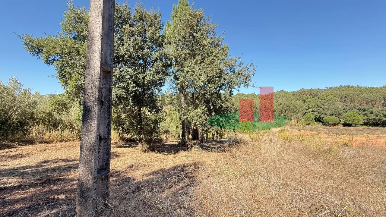 Terreno para Venda em Alcobertas Foto 3