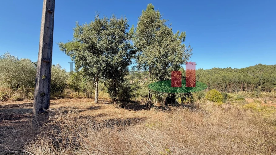 Terreno para Venda em Alcobertas Foto 2