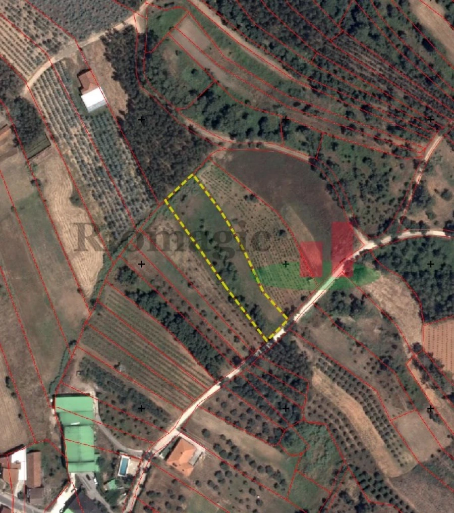 Terreno para Venda em Alcobertas Foto 5